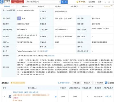 智慧賦能 人工智能公共服務技術咨詢服務的發展與價值