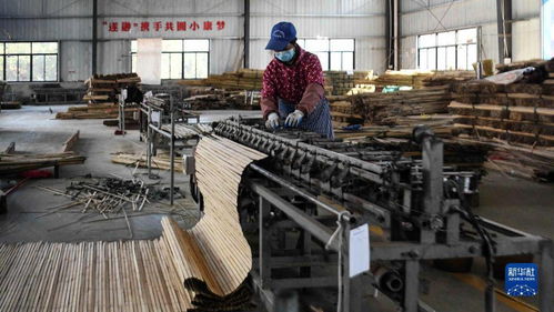 粵桂攜手共繪振興畫卷 園林工藝遠(yuǎn)銷海外，便民服務(wù)配鑰匙